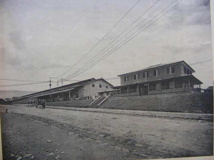 biblioteca 305 copy.jpg